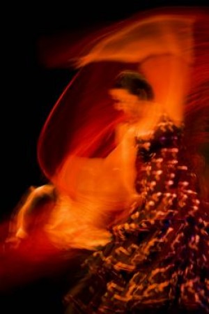 Diana dancing the flamenco