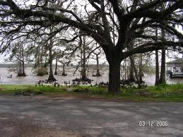 Biking across the bayou